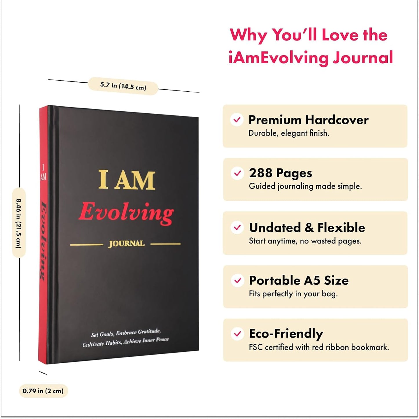 iAmEvolving Journal – Gratitude Journal with Prompts for Goal Setting, Habit Tracking, Mindfulness, Daily Reflection, Affirmations – 2025 Undated Self-Care Notebook for Women & Men (Black)
