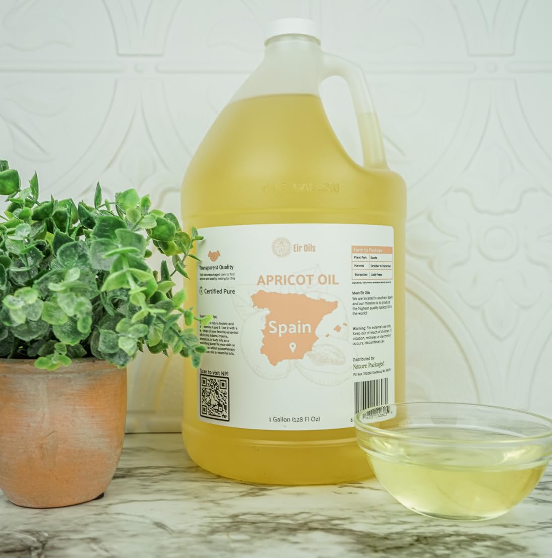 Apricot Kernel Oil - Direct from Spain and Turkey - 100% Pure Carrier Oil for Hair, Face, and Skin - Cold-Pressed Carrier Oils (1 Gallon)