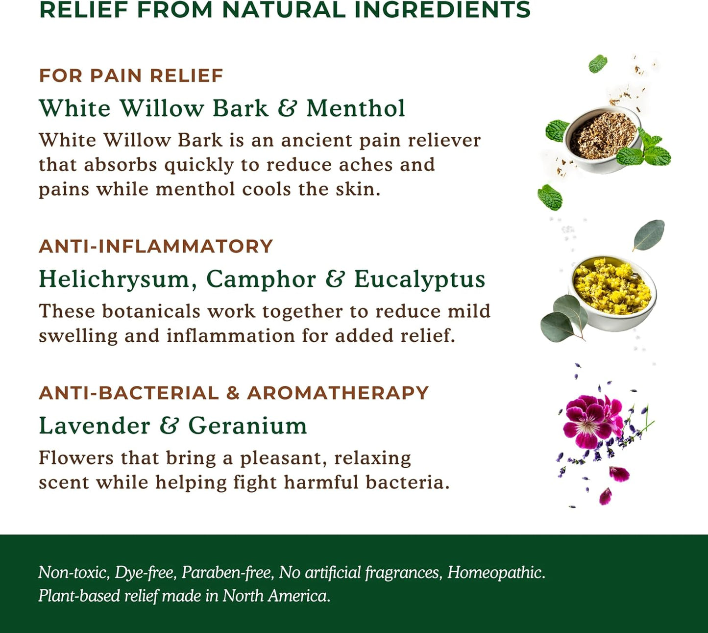 Nature's Willow Natural Pain Relief Patches for Muscles & Joints | Fast-Acting with White Willow Bark | Free from Artificial Fragrances & Dyes | 6 Patches (1-Pack)
