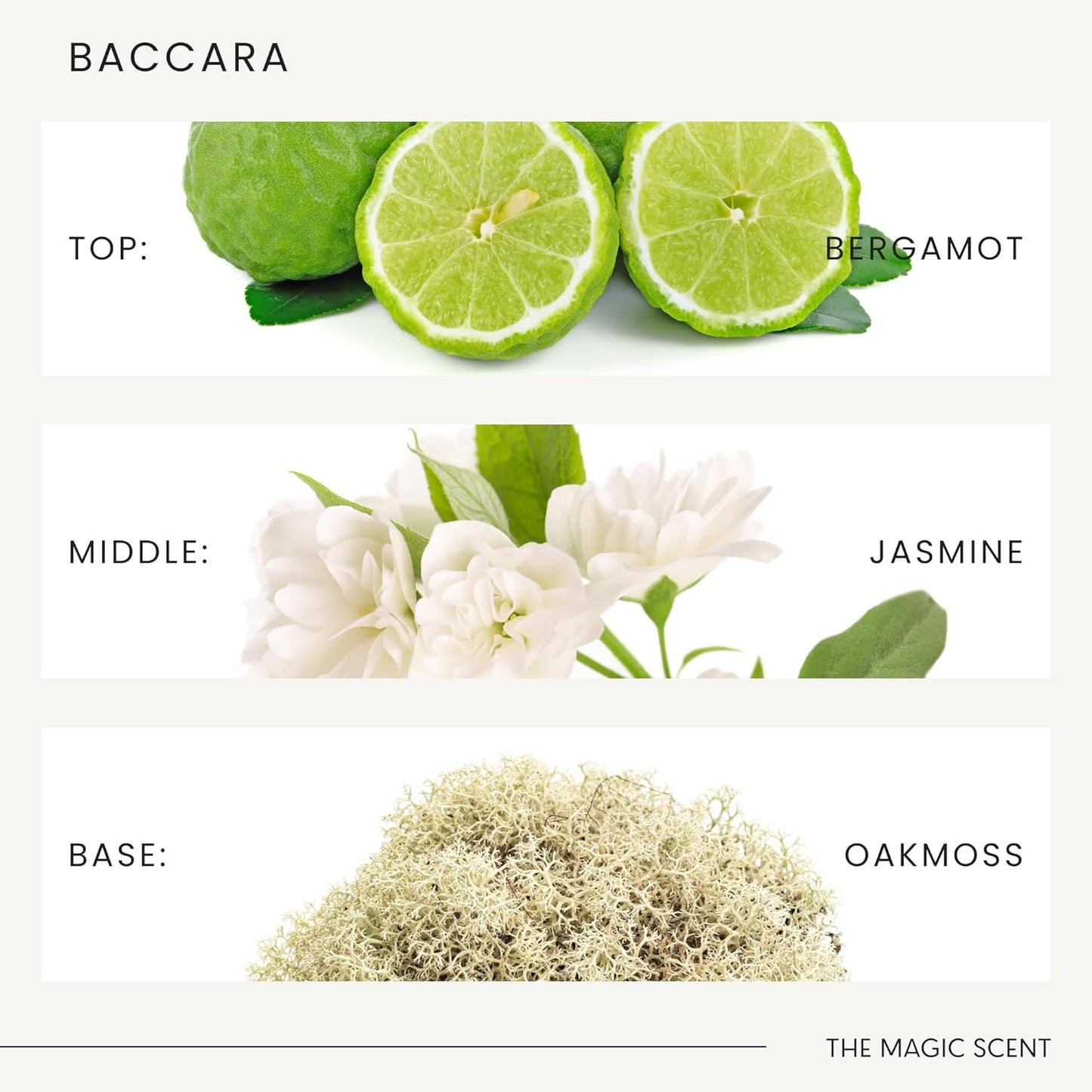 Baccara Diffuser Oil - Hotel & Home Luxury Scents Inspired by Baccarat Rouge - Diffuser Oil Scents for Home Designed for Use in All Diffusers - 16.9 fl oz, 500 mL