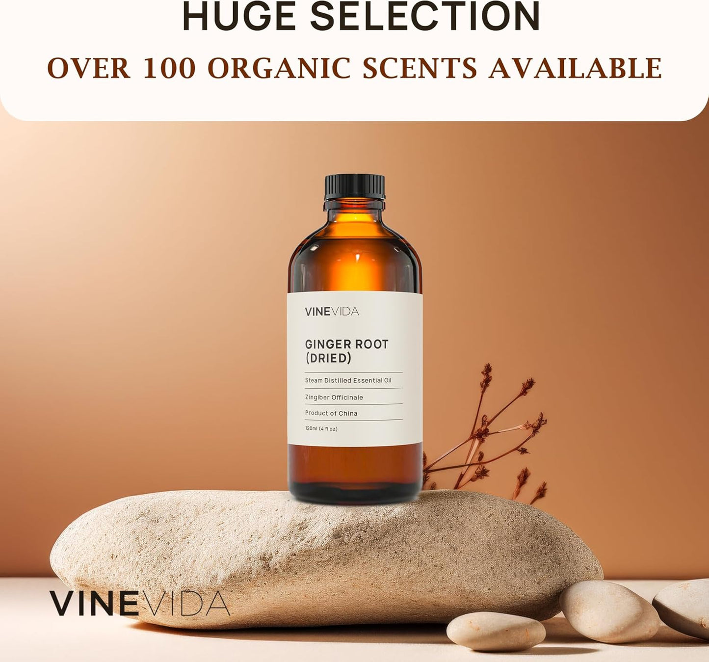 VINEVIDA Dried Ginger Root Essential Oil 4 oz - Undiluted Ginger Root Oil 4 oz - Ginger Root Candle Oil Scent - DIY Candle Scents for Candlemaking - Bulk Essential Oil for Soap Making Safe for Skin