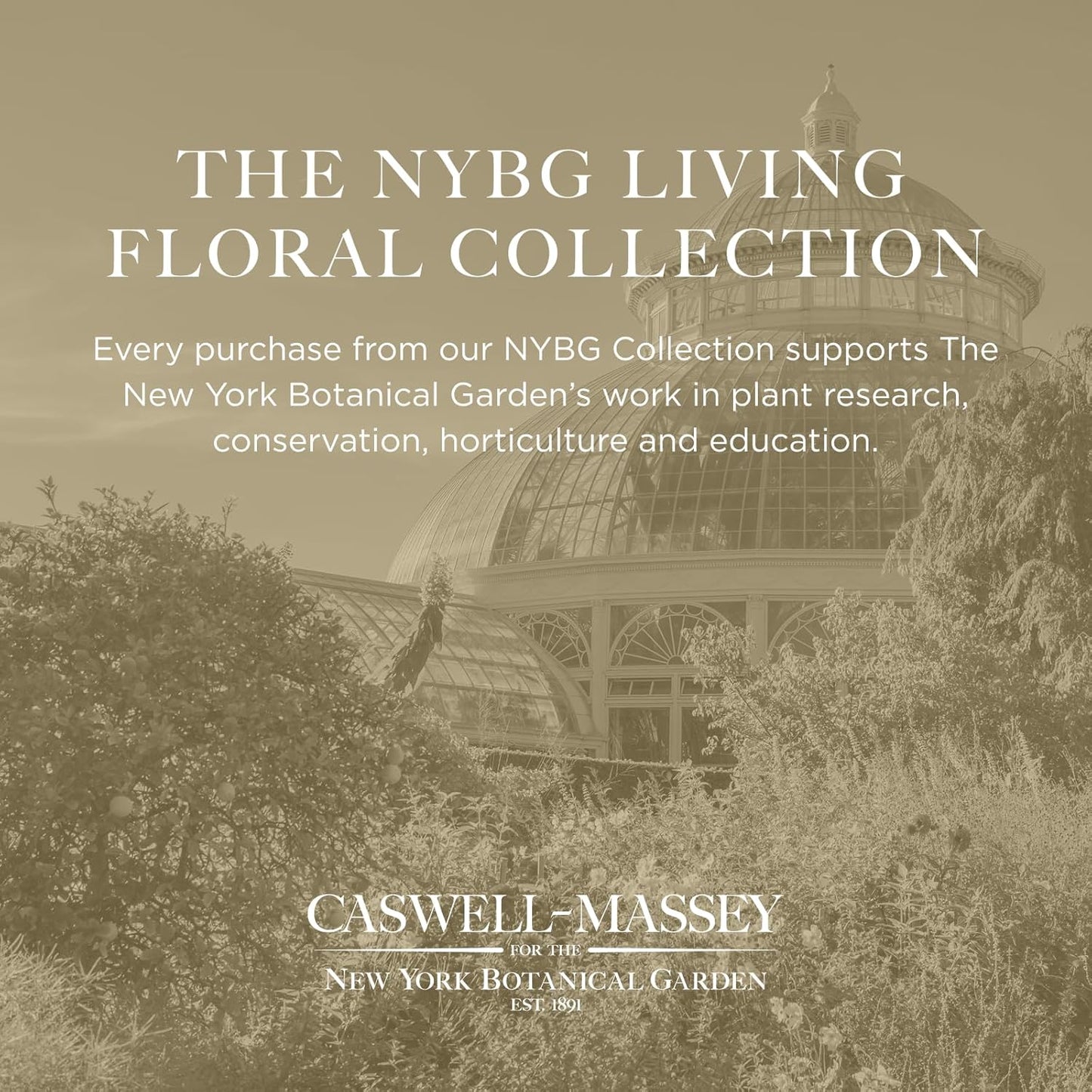 Caswell-Massey Rose Natural Bar Soap for Women, Moisturizing Body Soap Bar for All Skin Types, Made with Essential Oils & Plant-Based Formula for Soft Skin, 3.5 oz