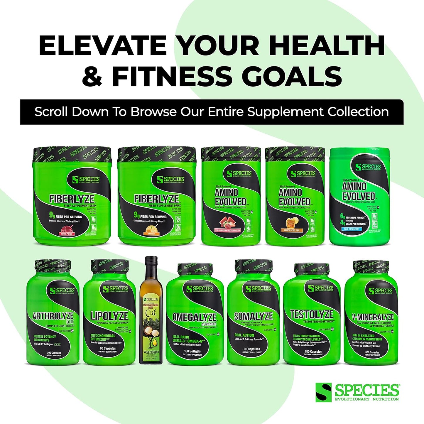 Species Nutrition Macadamia Nut Oil, Healthy Cooking Oil for Stir Fry, Sweet, Buttery, Great Tasting, Omega 9 Monounsaturated Fats, Balanced Omega 3 & 6 Fats. (32 Servings)