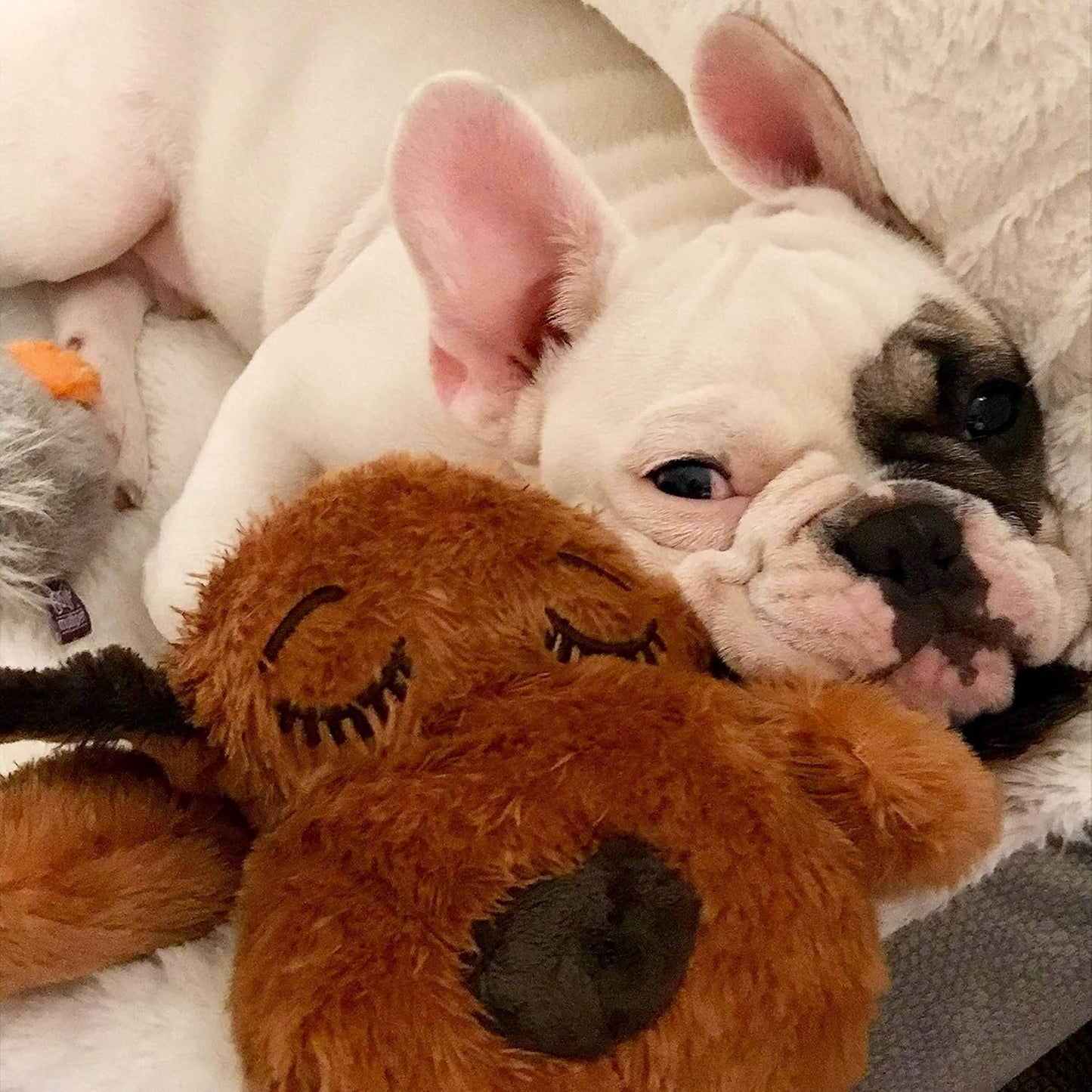 Snuggle Puppy Replacement Heat Packs - 12 Odourless, Long Lasting Disposable Hand Warmers Made with All Natural Ingredients