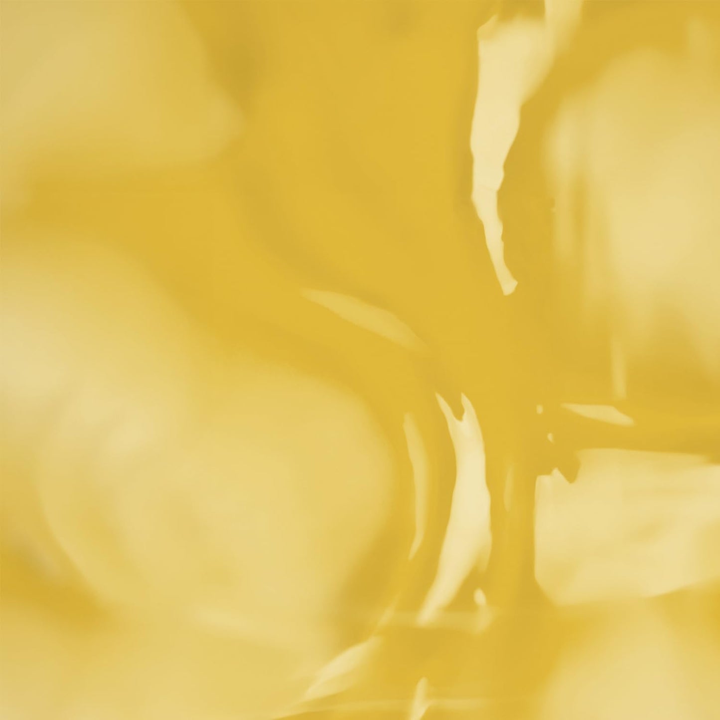 Banyan Botanicals Sunflower Oil – Pure & Organic Sunflower Seed Oil for Skin, Body, Hair & More – Multiple Sizes – 128 oz – Expeller Pressed Non GMO Chemical Free