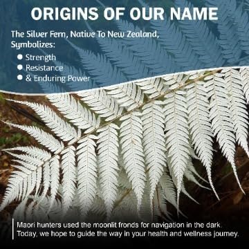 Silver Fern Stress Complex Supplement - Without Caffeine - Sleep, Worry, Mood & More - with Saffron Supplements, L-Theanine Supplement, & Myo-inositol - Natural Stress Relief Supplement (Pack of 2)