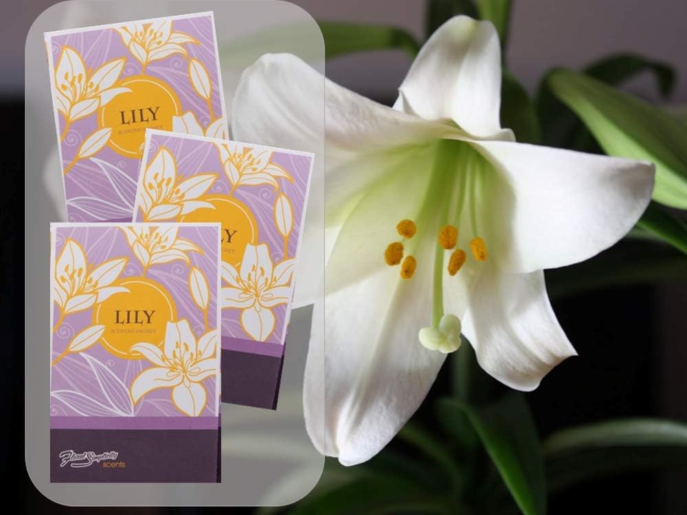 Lily Scented Sachets Pack of 6, Spring and Summer - Long-Lasting Scented Bags, Home Fragrance, Air Freshener & Deodorizer for Closet, Room, Drawer, or Cars, Made in USA