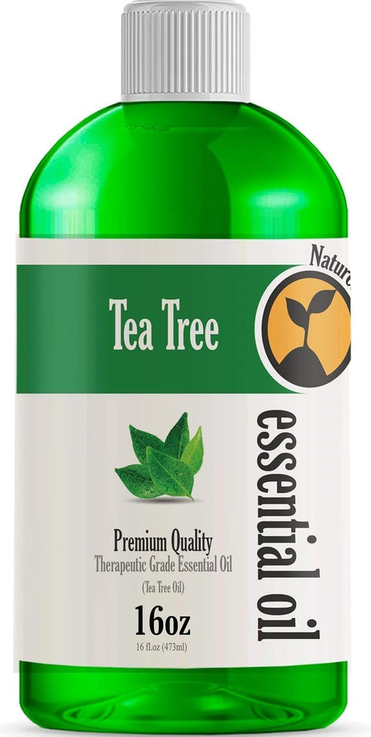 16oz - Bulk Size Tea Tree Essential Oil (16 Ounce Total) - Therapeutic Grade Essential Oil - 16 Fl Oz Bottle