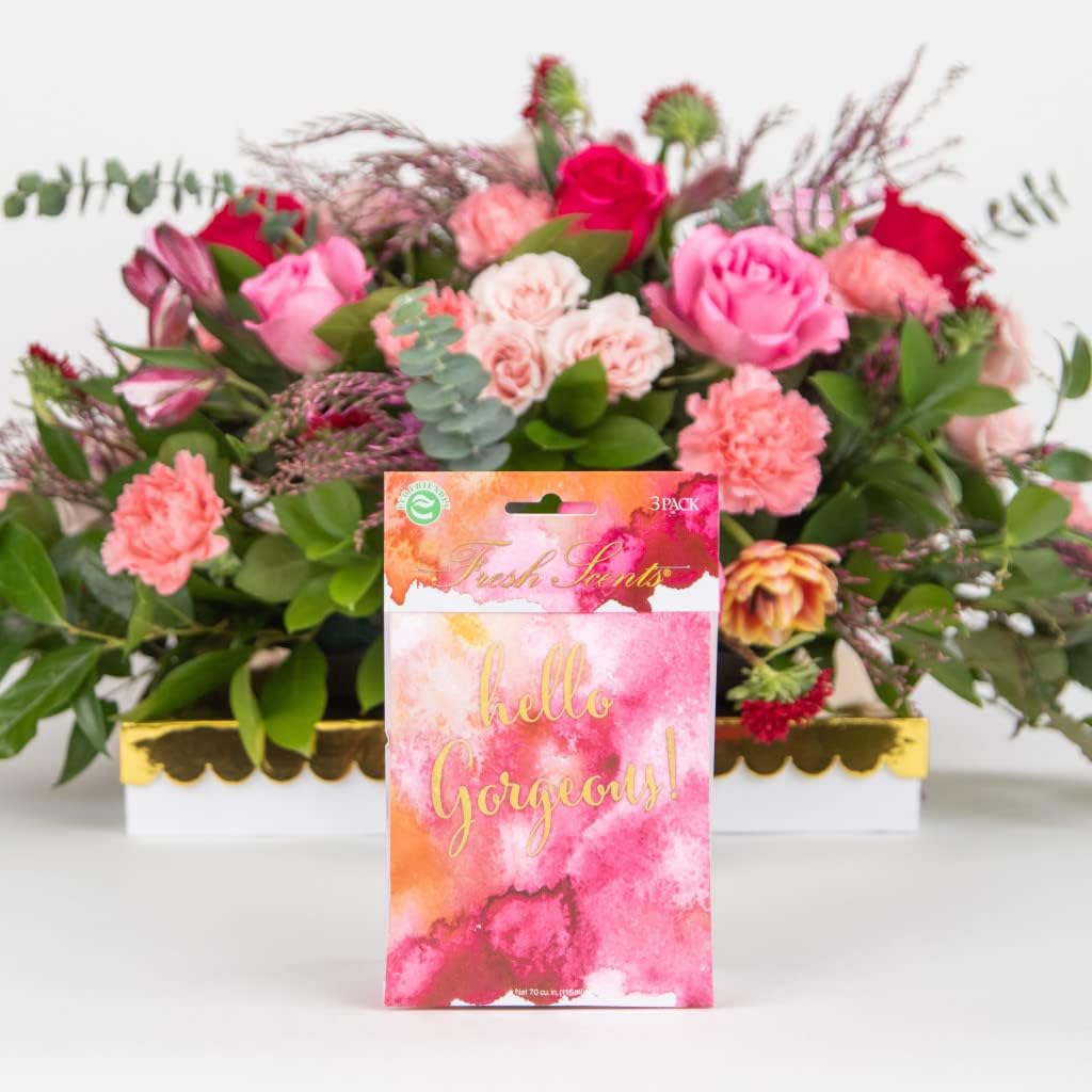 WillowBrook | Fresh Scents Scented Sachet Packet | Hello Gorgeous | Air Freshener Bags for Drawers, Closets, Cars | 6 Pack | Long Lasting Home Fragrance