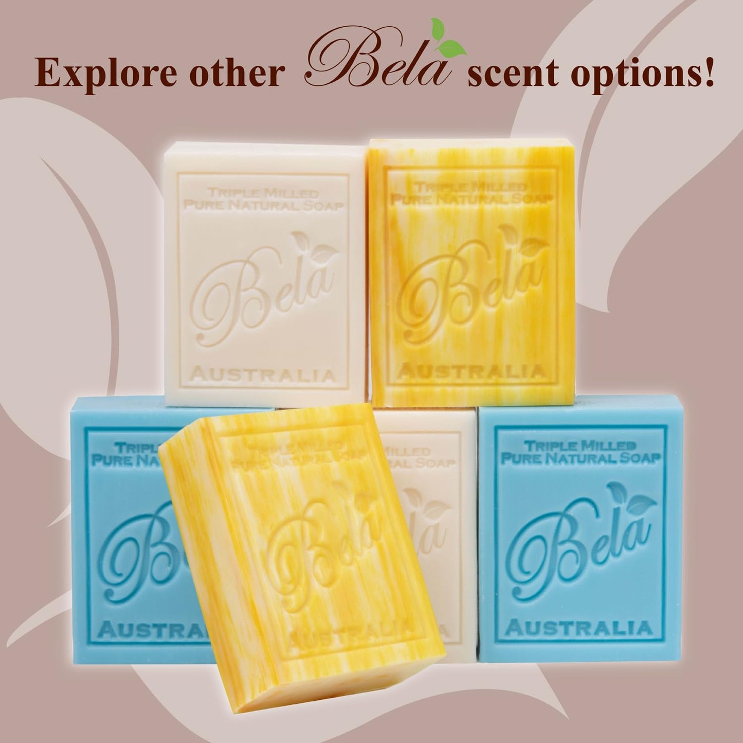 BELA Sandalwood Soap 3.3 OZ, Pack of 12 French Triple Milled Bar Soap with Organic Shea Butter, Hand, Face and Body Wash Bar, Made in Australia