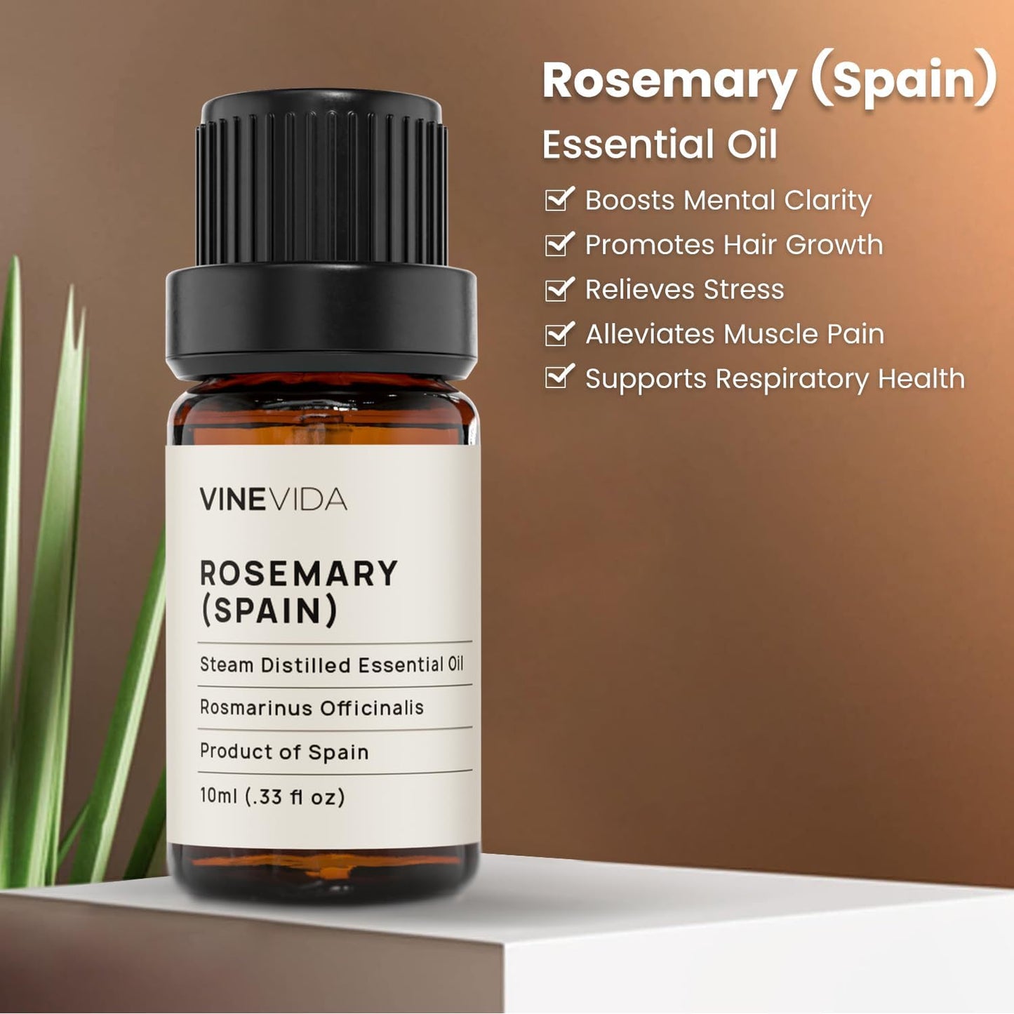 VINEVIDA Rosemary Spain Essential Oil 10 mL - Undiluted Rosemary Spain Oil 10 mL - Rosemary Spain - DIY Candle Scents for Candlemaking - 10 mL Essential Oil for Soap Making (4OZV-OBP-ROS-SPA-10ML)