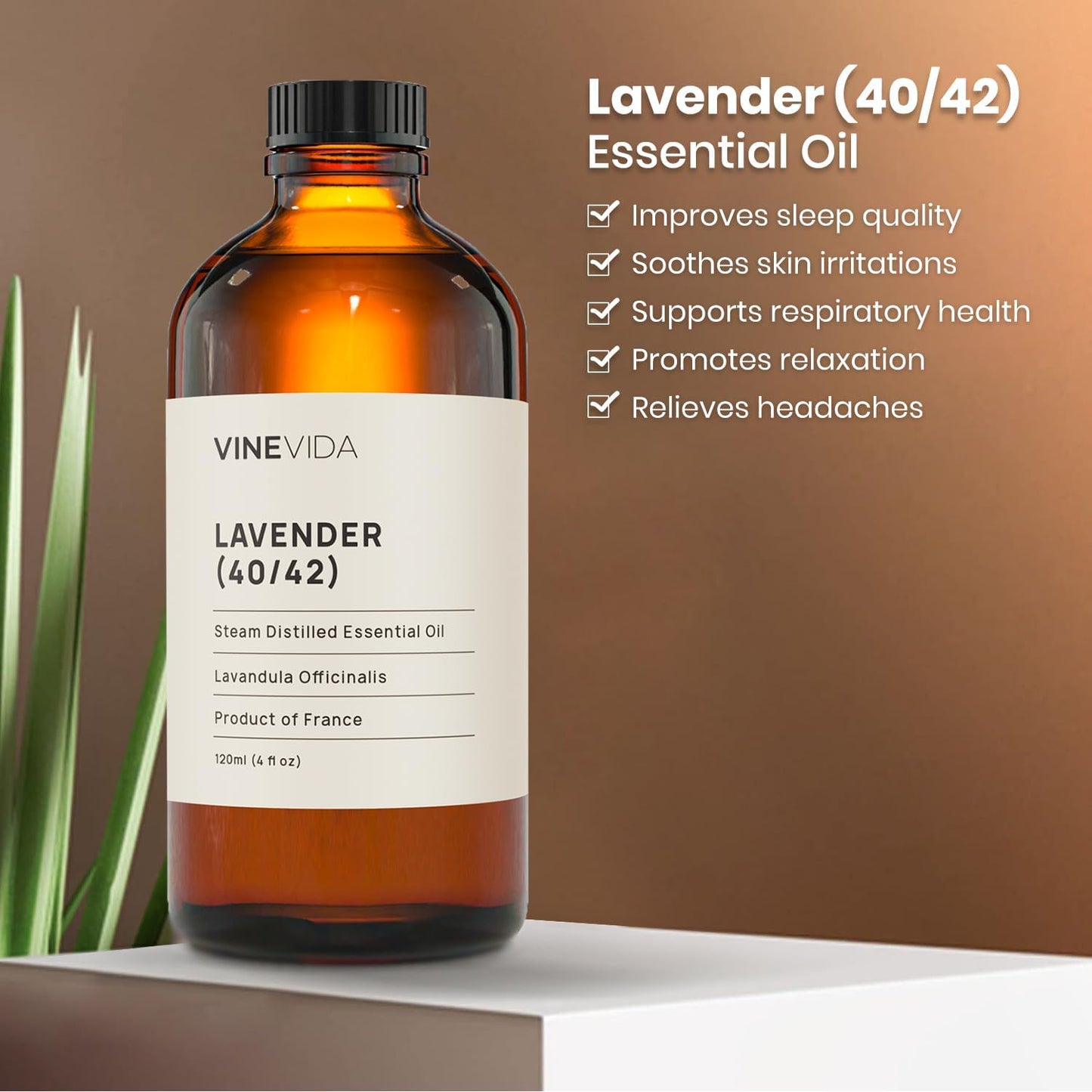 VINEVIDA Lavender 40/42 Undiluted Essential Oil 4 oz