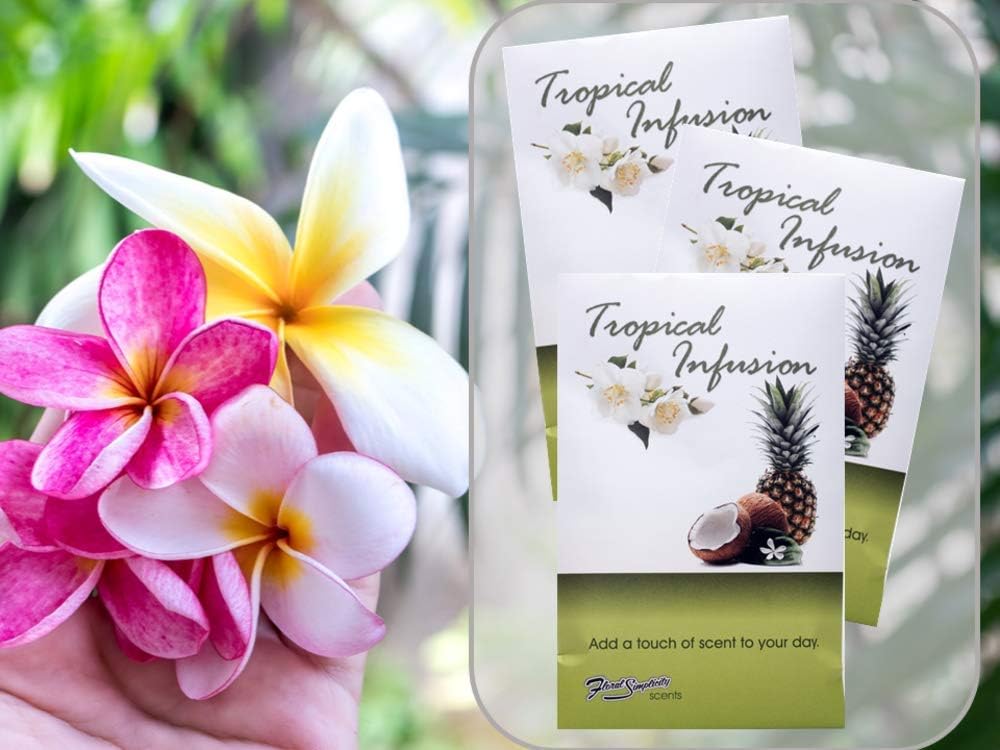 Tropical Infusion Scented Sachets Pack of 6, Spring and Summer - Long-Lasting Scented Bags, Home Fragrance, Air Freshener & Deodorizer for Closet, Room, Drawer, or Cars, Made in US