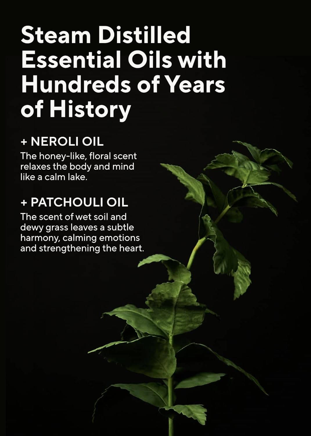 AROMATICA Embrace Body Wash Neroli & Patchouli 10.14fl.oz./300ml - Floral Body Wash for Women | Relaxing Your Body & Mind | Vegan, Sulfate Free