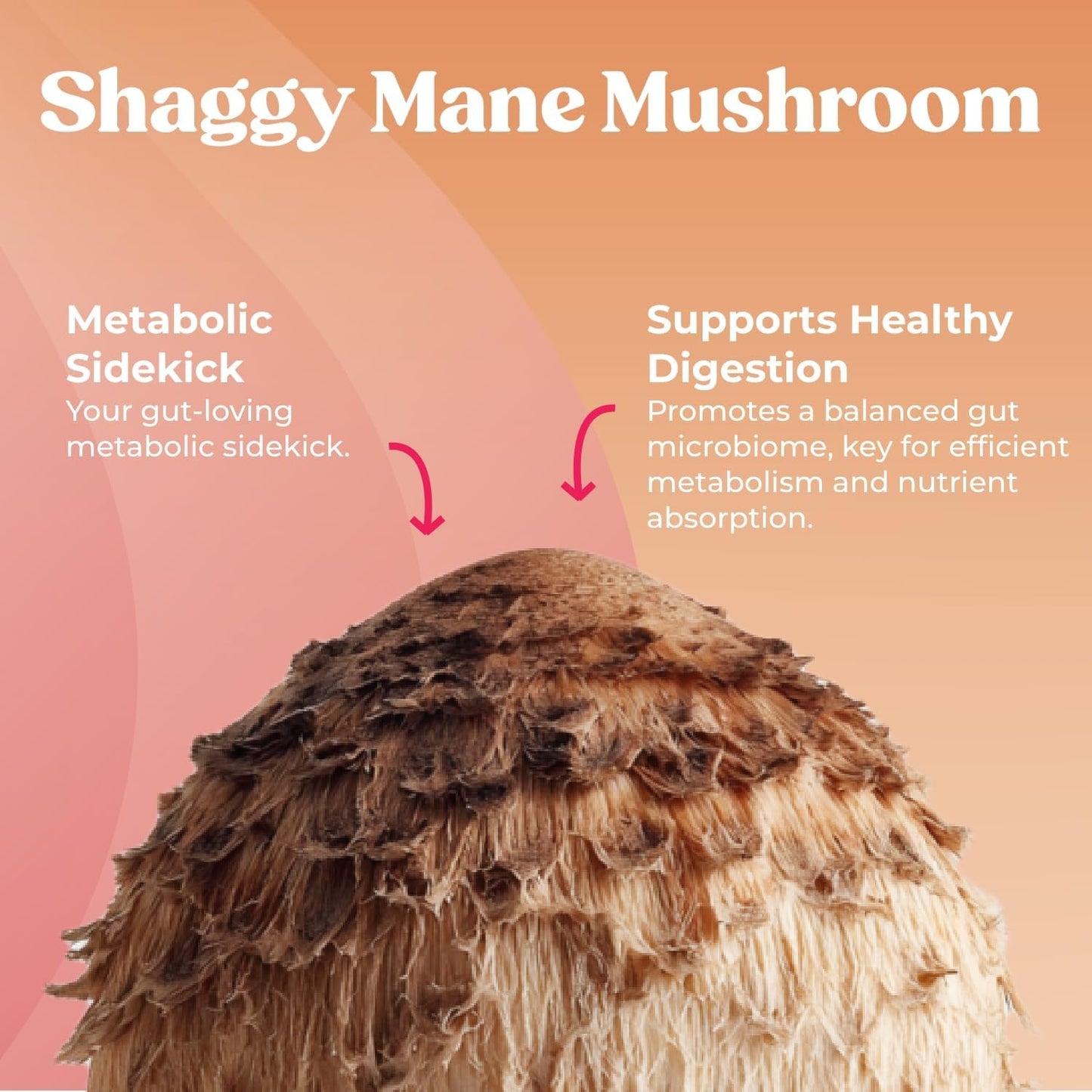 Super Berberine - GLP-1 Support - Hunger & Metabolism Support - Gluten Free, Vegan Supplements for Men & Women (60 Capsules)