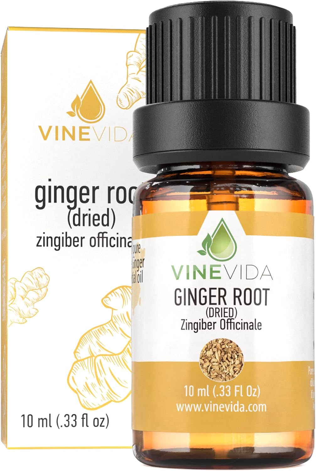 VINEVIDA Dried Ginger Root Essential Oil 10 mL - Undiluted Candle Scent DIY Scents for Candlemaking Soap Making Safe Skin,0.33 Fl Oz 1.33 Ounces