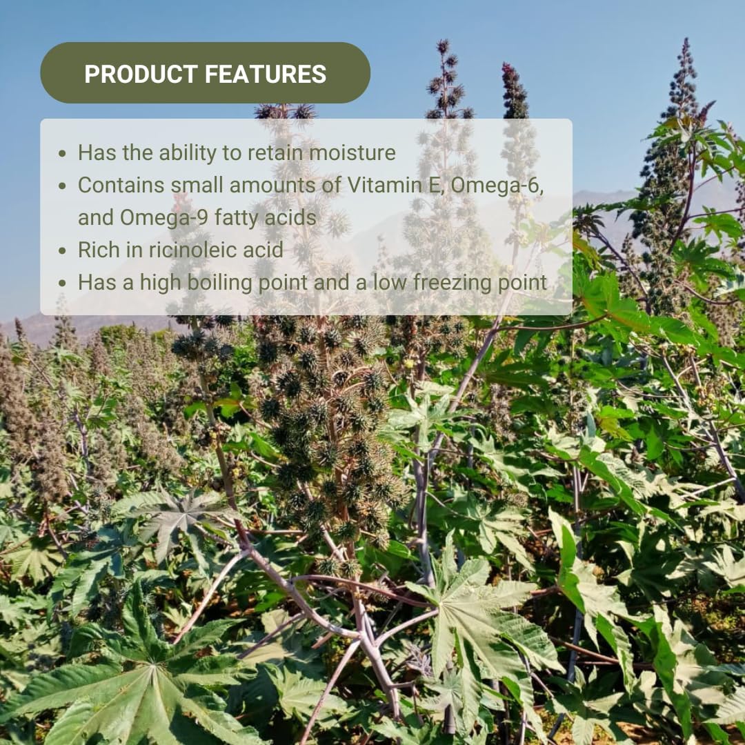 Organic Castor Oil Direct From India - Cold Pressed Castor Oil For Face - Hexane Free (32 oz)