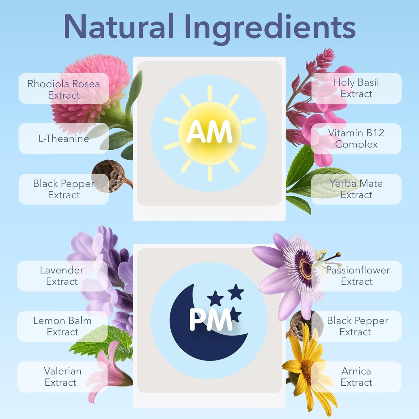 Jet Lag AM & PM Travel Patches – Natural Day & Night Support for Travelers – Energy, Focus & Restful Sleep – with B12, Rhodiola, Valerian, Lemon Balm, Lavender & More – 8 Topical Patches