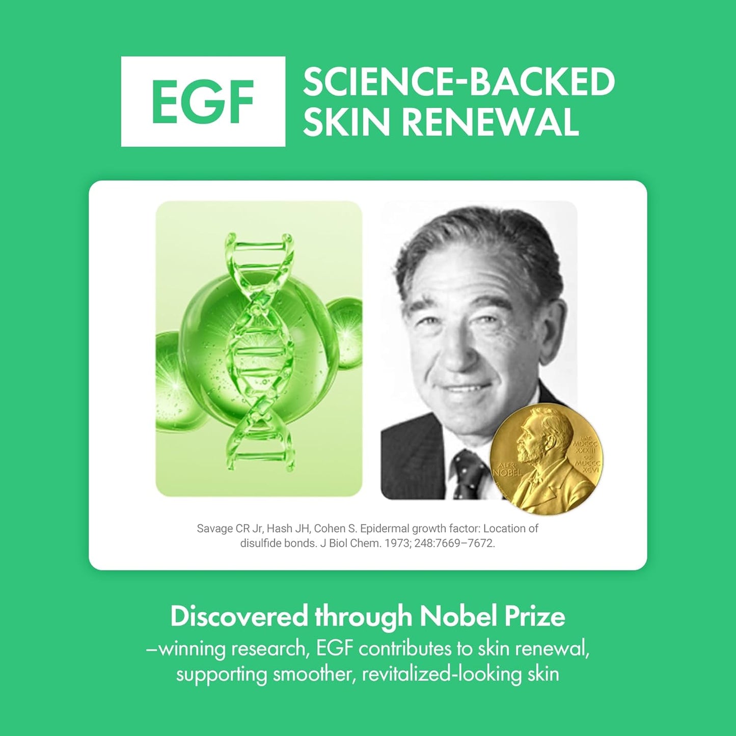 Easydew Mela B Toning Ampoule Cushion Refill - 3-in-1 Age-Defying Sun Shield Full Coverage Cushion Foundation with Niacinamide & Hyaluron-Vital C - Face Makeup Korean Skin Care 0.45 oz (#13 Porcelain)