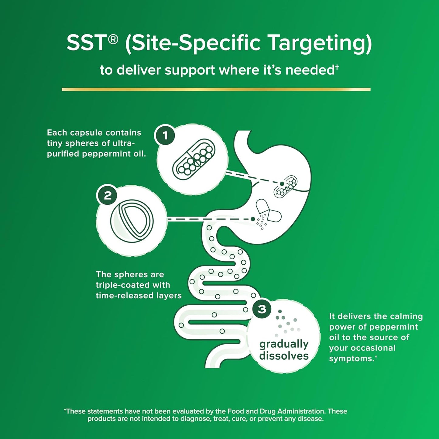 IBgard Gut Health Supplement, Peppermint Oil Capsules for Abdominal Comfort, 12 Capsules