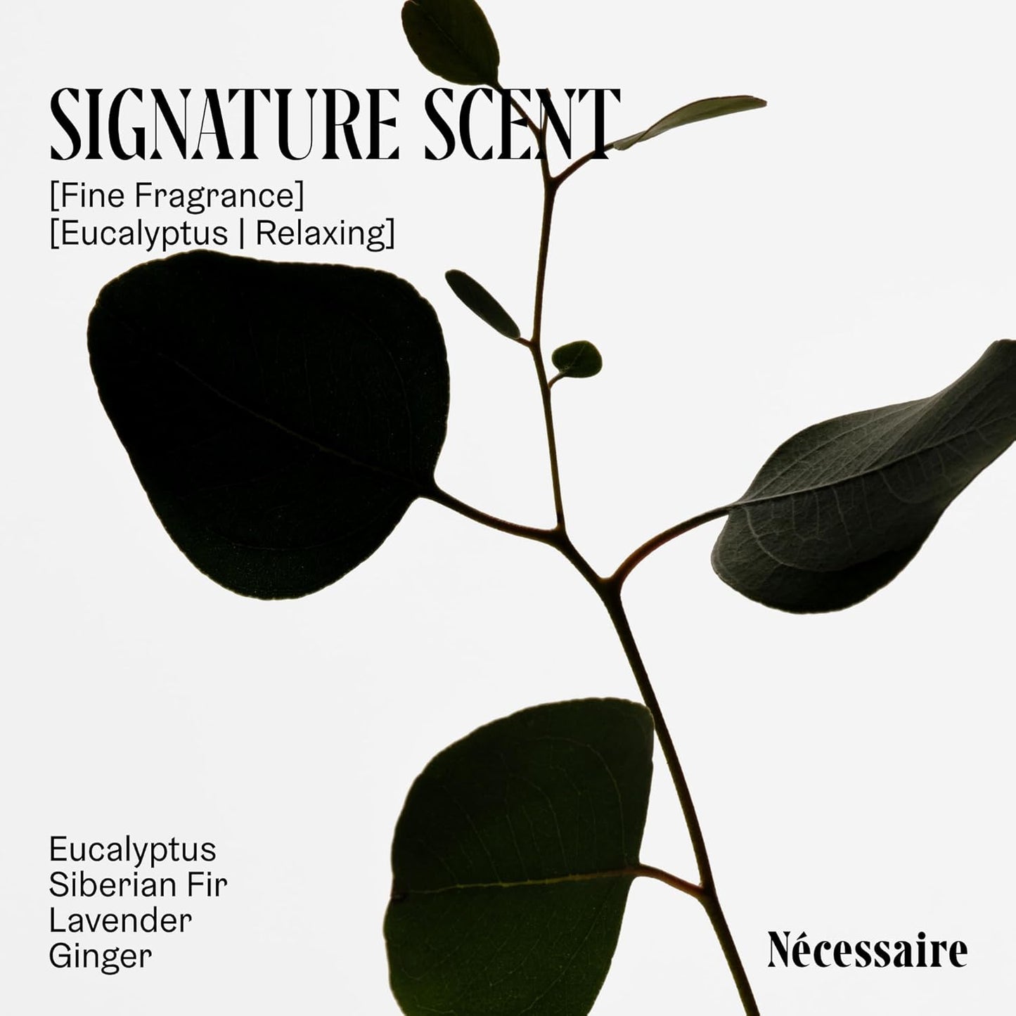 Nécessaire The Body Wash - Collection Set. Self Care Gifts for Women + Men, 4x Travel Size Skin Care Set, Natural Body Wash for Women + Men. With Vitamins + Niacinamide. Gel Cleanse, 3.4 fl oz.