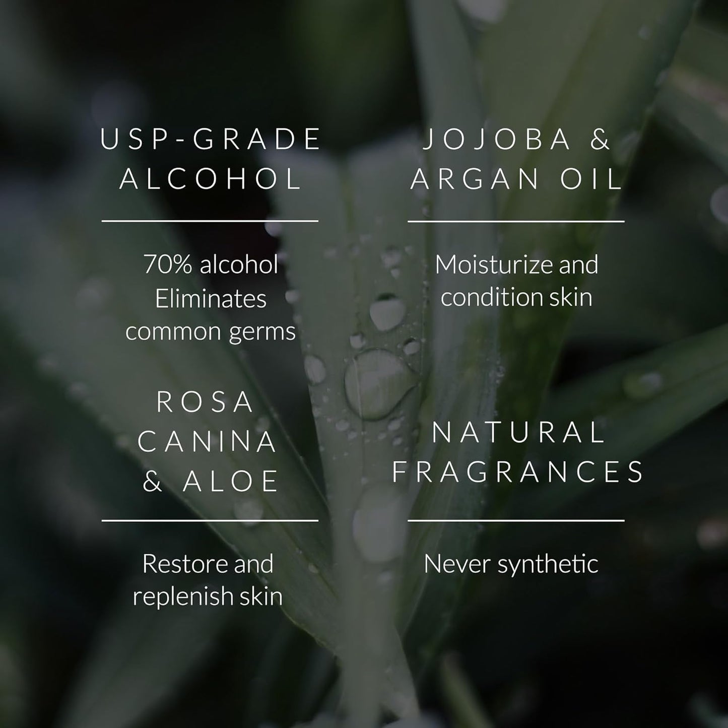 Noshinku - Refillable Hand Sanitizer Eucalyptus 3-Pack, Travel Size Spray with Hydrating Botanical Oils, Natural Ingredients, All Natural Fragrances, Sugarcane Derived Alcohol, No Parabens, No Dyes