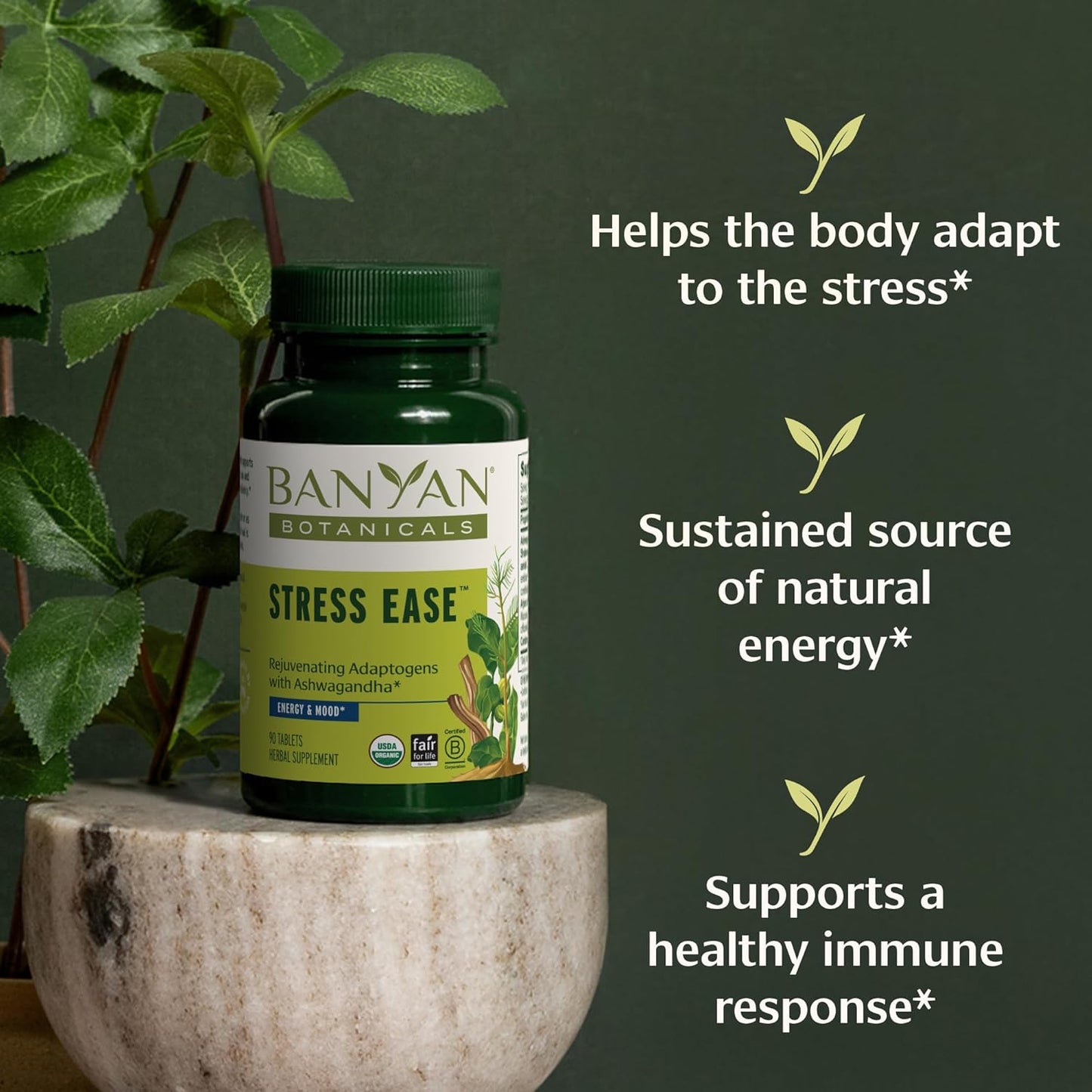 Banyan Botanicals Stress Ease – Organic Herbal Supplement for Stress & Fatigue* – with Ayurvedic Adaptogen Ashwagandha (Withania somnifera) Root – 90 Tablets – Non-GMO Sustainably Sourced Vegan