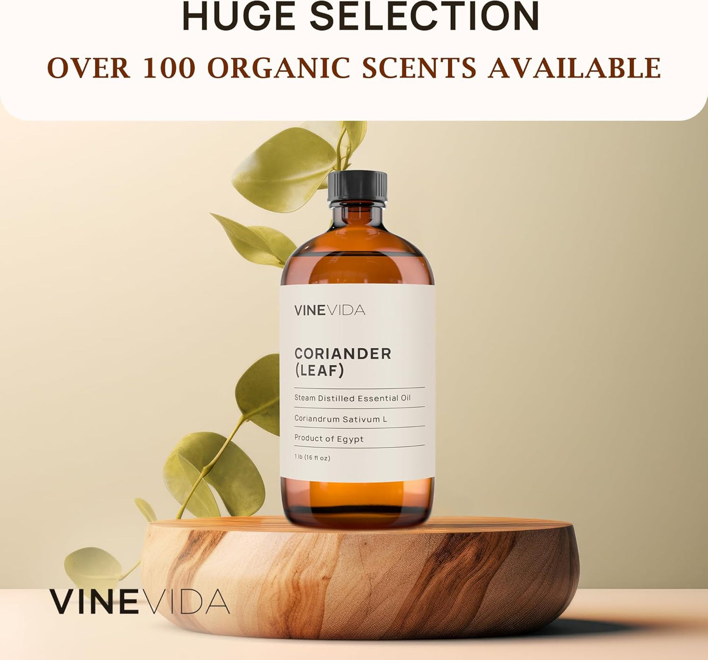 VIVEVIDA Coriander Essential Oil - Undiluted for Soap Making and Candlemaking - 16 oz Bulk Bottle