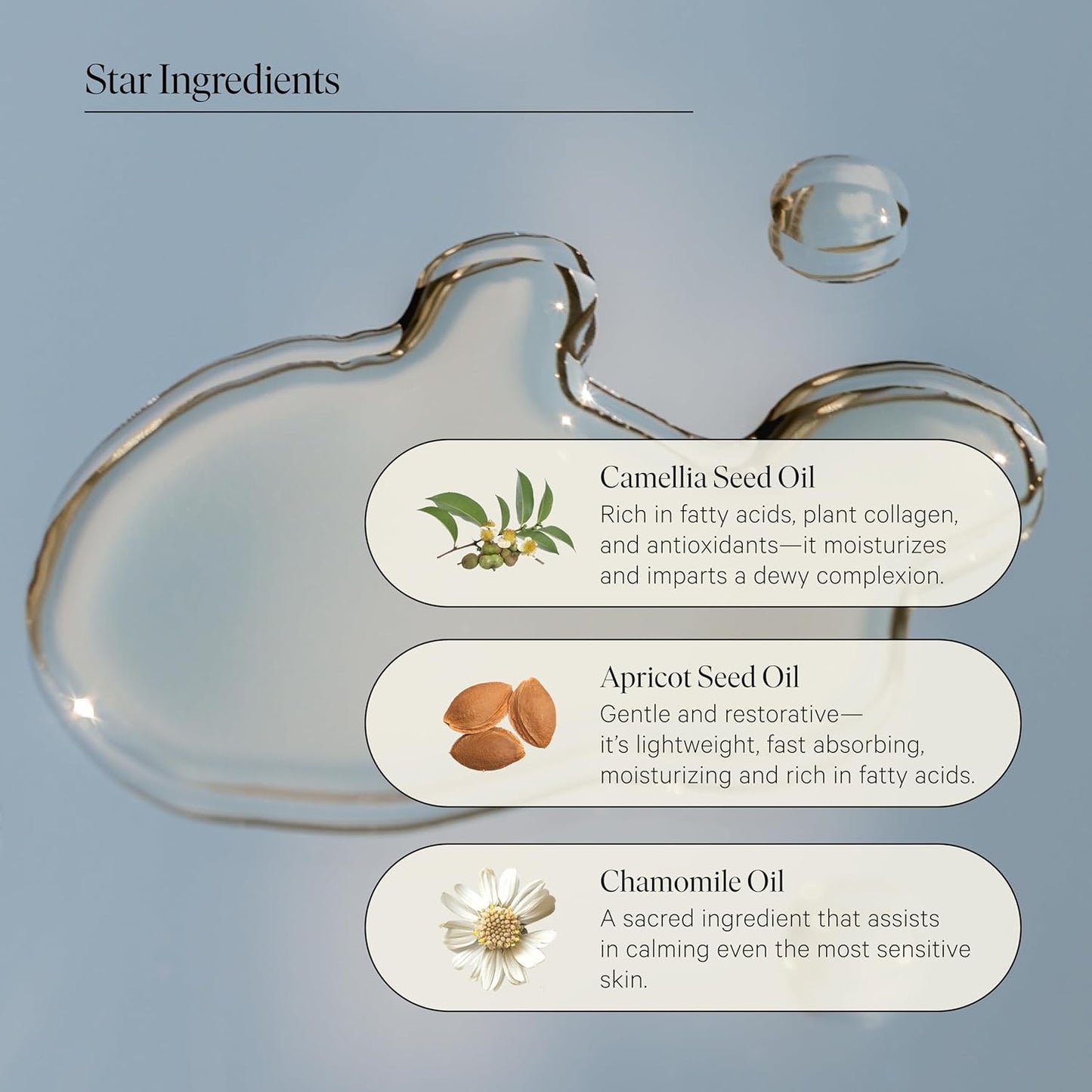 Biography Long June Quieting Face Oil, 30ml - Natural Smoothing & Clarifying Dry Oil. Clarifying, Moisturizing & Hydrating Beauty Facial Oil for Women w/Camellia, Vitamin E & Marula