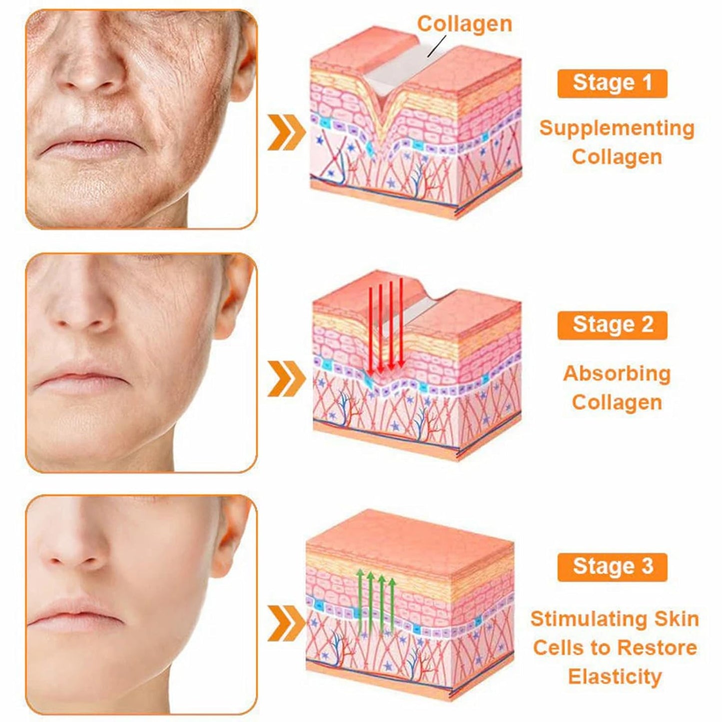 LipMaps Bee Venom skin Restoration Cream,Bee Venom Skin Treatment Cream,Deeply Moisturizing and Firming for All skin Types (1PC)