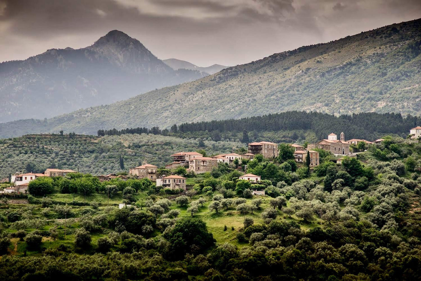 Ancient Foods Keros Greek Organic Extra Virgin Olive Oil – Fresh, Cold Pressed Olive Oil from Greece, High Phenolic 1000 Year Old Trees (0.5L)