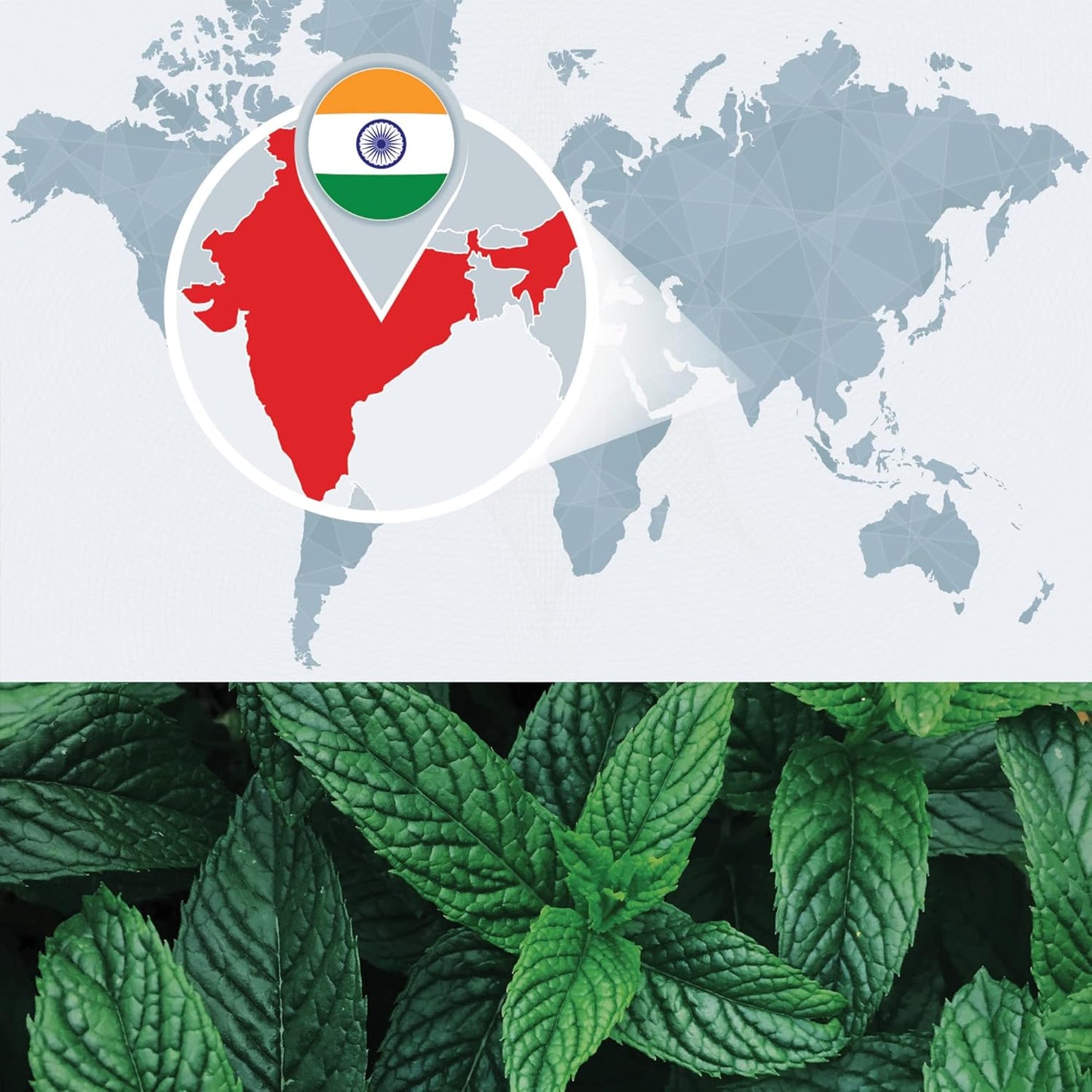 Bulk Peppermint Essential Oil - Large 1 Gallon Jerrican - 100% Pure and Undiluted Therapeutic Grade Mentha Piperita - Concentrated Extract