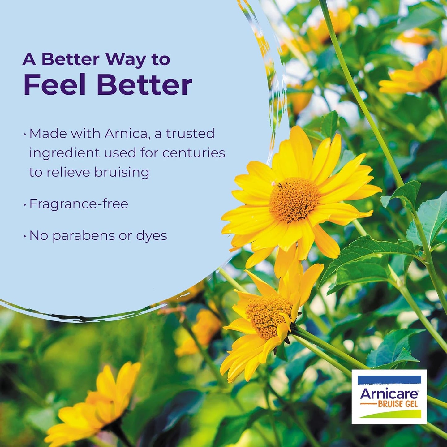 Boiron Arnicare Bruise Gel for Relief of Pain, Inflammation or Swelling, Soreness, and Discoloration - Non-greasy and Fragrance-Free - 1.5 oz (Pack of 2)