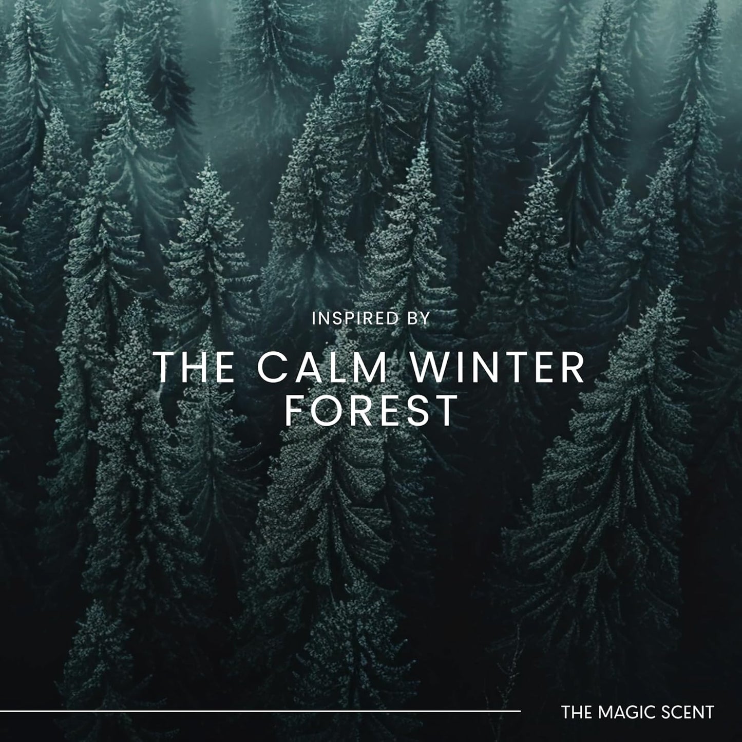 Pine Aroma Oil - Diffuser Scent - Cold-Air & Ultrasonic Diffuser Oil - Pine Essential Aromatherapy - 8.5 fl oz, 250 mL