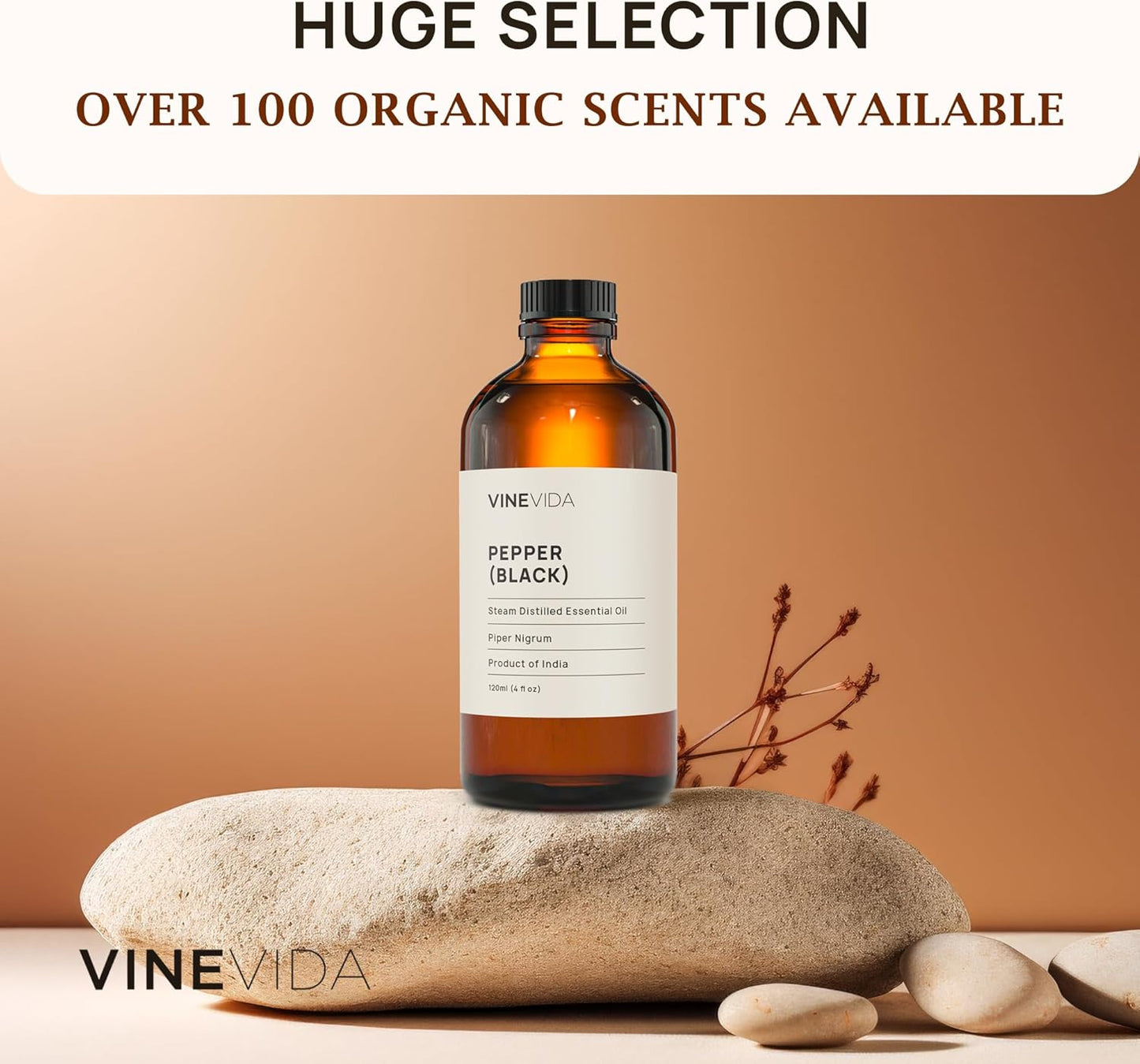 VINEVIDA Black Pepper Essential Oil 10 mL - Undiluted, Pure, Vegan, Reusable Glass Bottle with Euro Dropper