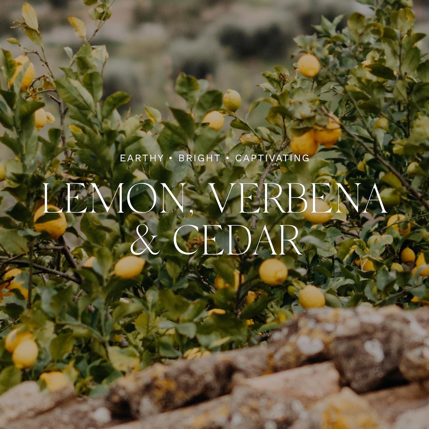 Antica Farmacista Lemon Verbena & Cedar Bubble Bath, 16 Fl Oz