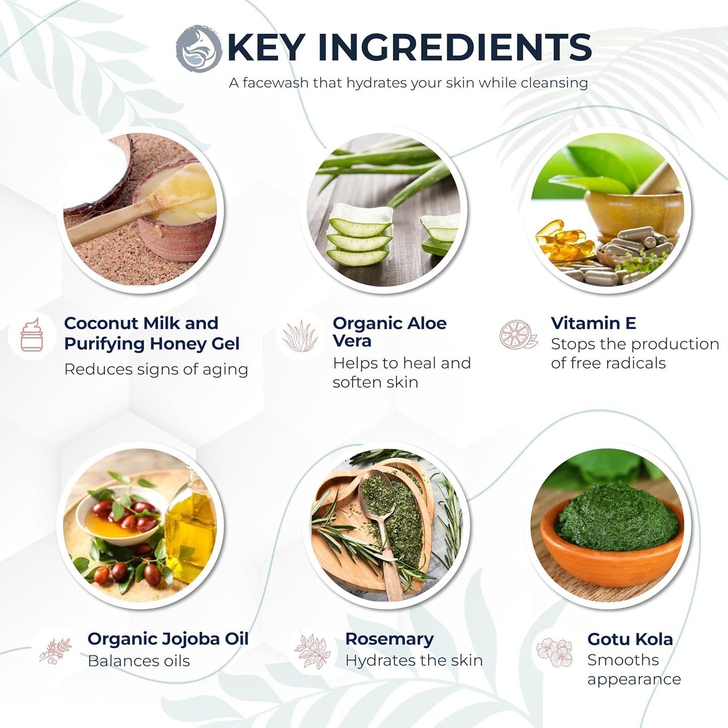 Hydrating Face Wash - Coconut Milk & Honey 4oz | Natural Daily Cleanser for All Skin Types — Gentle Non-Drying Formula, Fragrance-Free with Jojoba Oil & Aloe, Ideal for Sensitive & Dry Skin