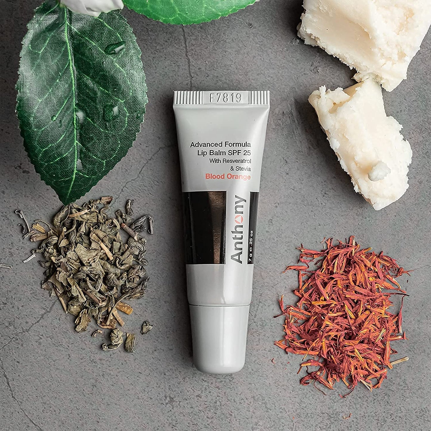 Anthony 25 SPF Lip Balm with Sunscreen for Lips – Contains Green Tea Extract, Shea Butter & Vitamin E – Moisturizing Repair Care Treatment for Chapped & Dry Lips 2-Pack