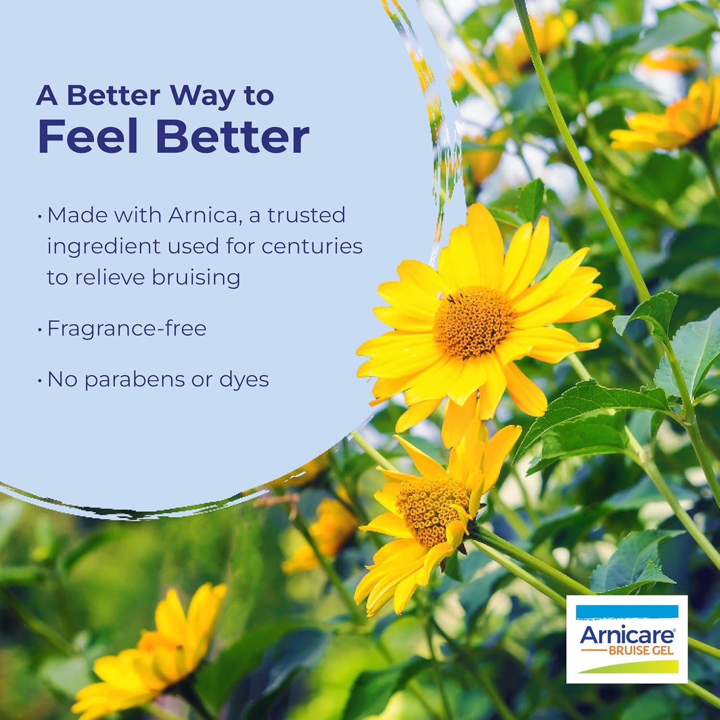 Boiron Arnicare Bruise Gel for Relief of Pain, Inflammation or Swelling, Soreness, and Discoloration - Non-greasy and Fragrance-Free - 1.5 oz