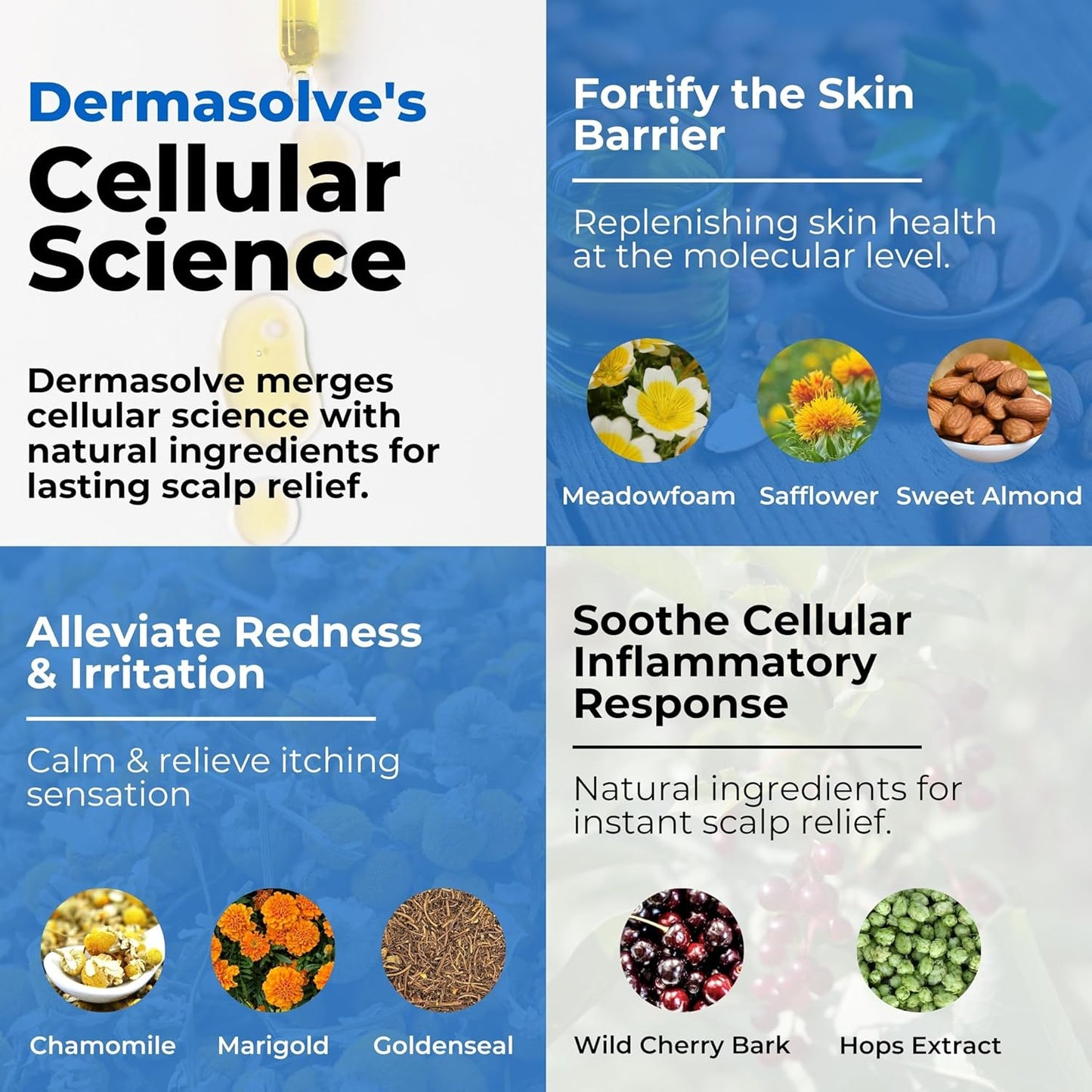 Dermasolve 4 oz Psoriasis, Seborrheic Dermatitis, & Dandruff Scalp Oil - Dermatologist Approved - Flaky Scalp Relief, Clinically Tested, Long-Lasting Itch-Free, High-Performance Formula