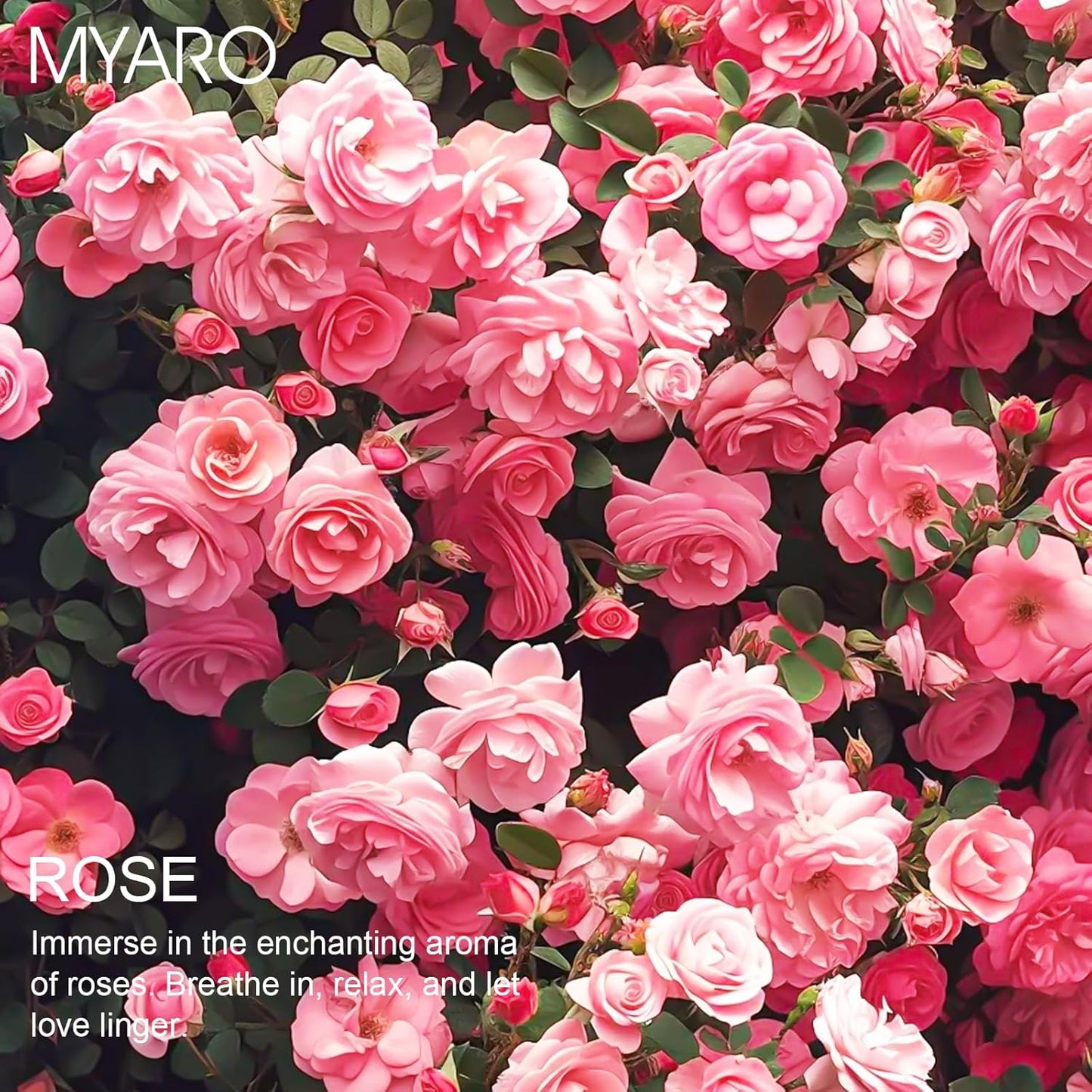 MYARO Scented Sachet for Drawers and Closets 12 Packs Rose Sachet Bags Fresh Scent Car Air Freshener for Home Fragrance Long Lasting Closet Freshener Odor Eliminator