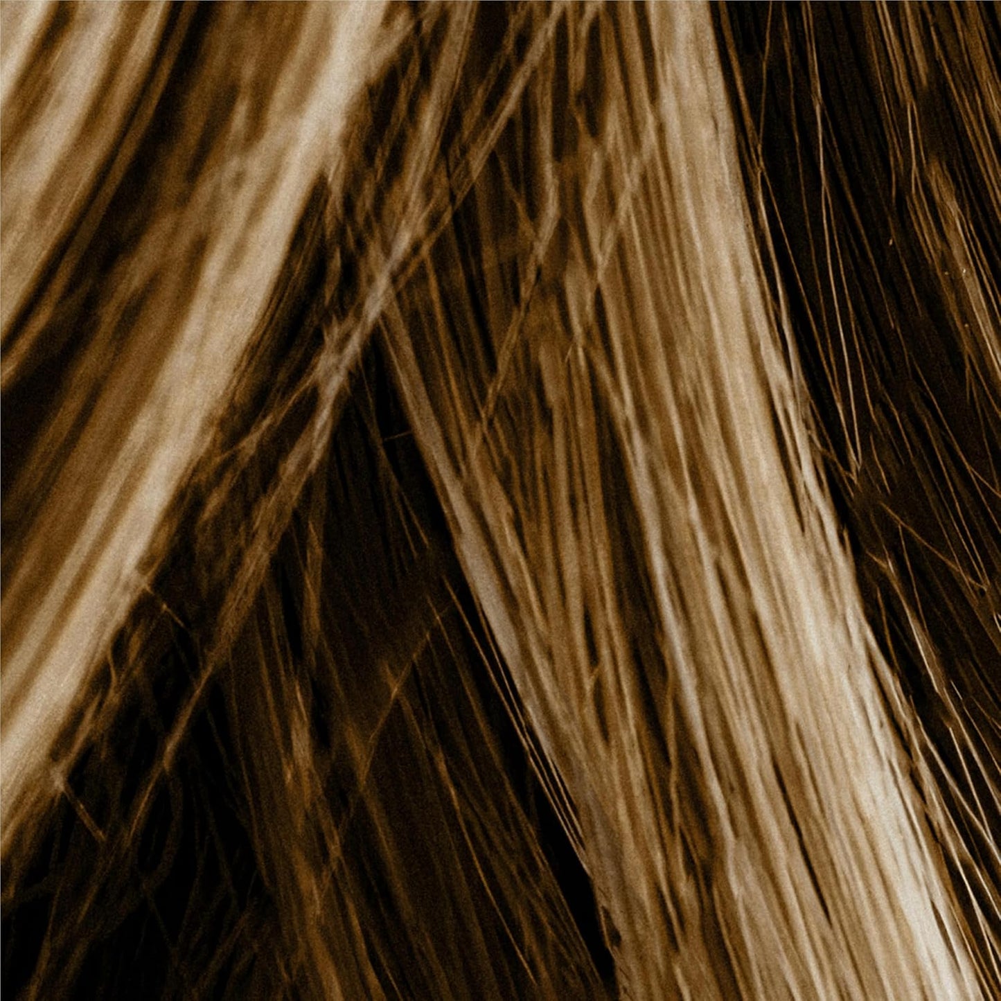 Hair Thickening Fiber Spray by Mane (100ml, Medium Brown)