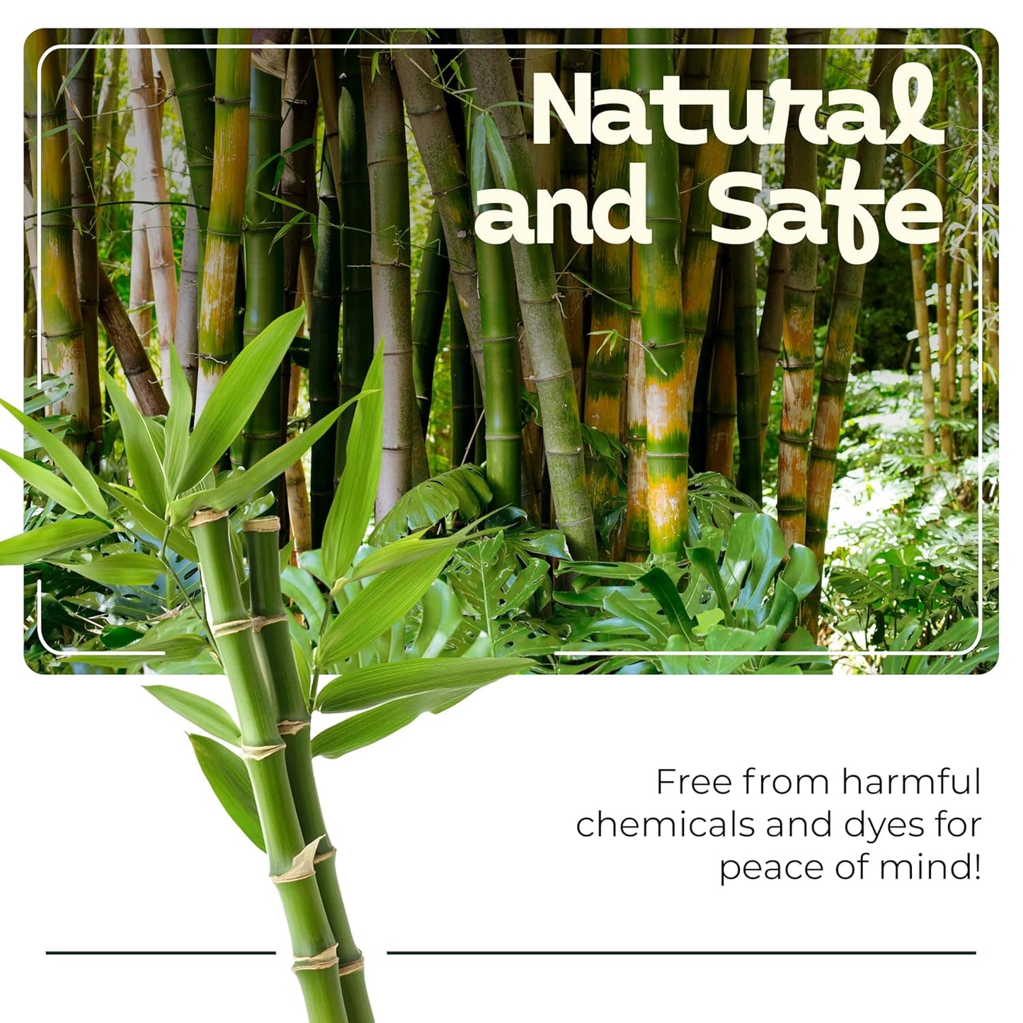 Bamboozle Eco-Friendly Premium Bamboo Cotton Swabs - Sustainable, Biodegradable, & Stylish Personal Care Solution, 500 count